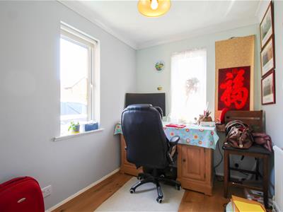 Picture 5